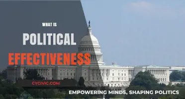 Understanding Political Effectiveness: Strategies for Impactful Governance and Policy
