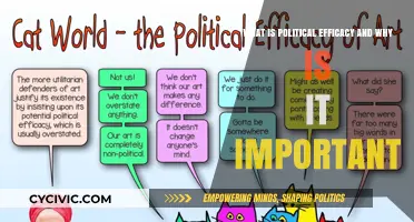 Empowering Citizens: The Vital Role of Political Efficacy in Democracy