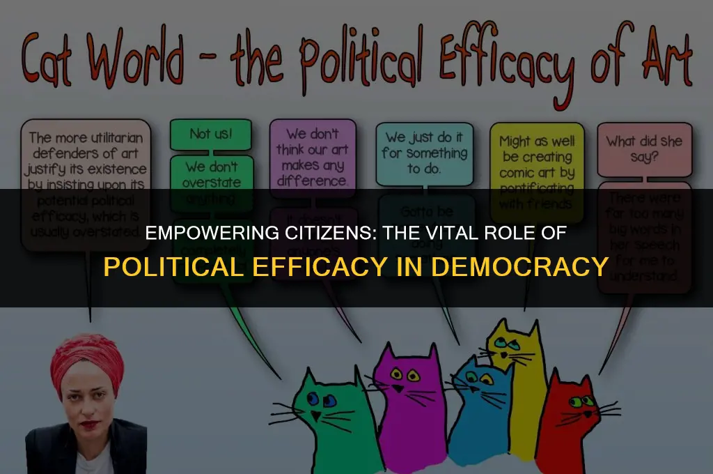what is political efficacy and why is it important