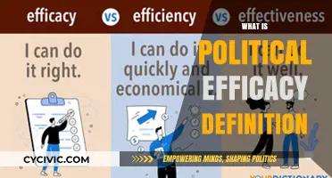Understanding Political Efficacy: Definition, Importance, and Real-World Impact