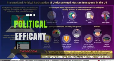 Understanding Political Efficacy: Power, Participation, and Civic Engagement Explained