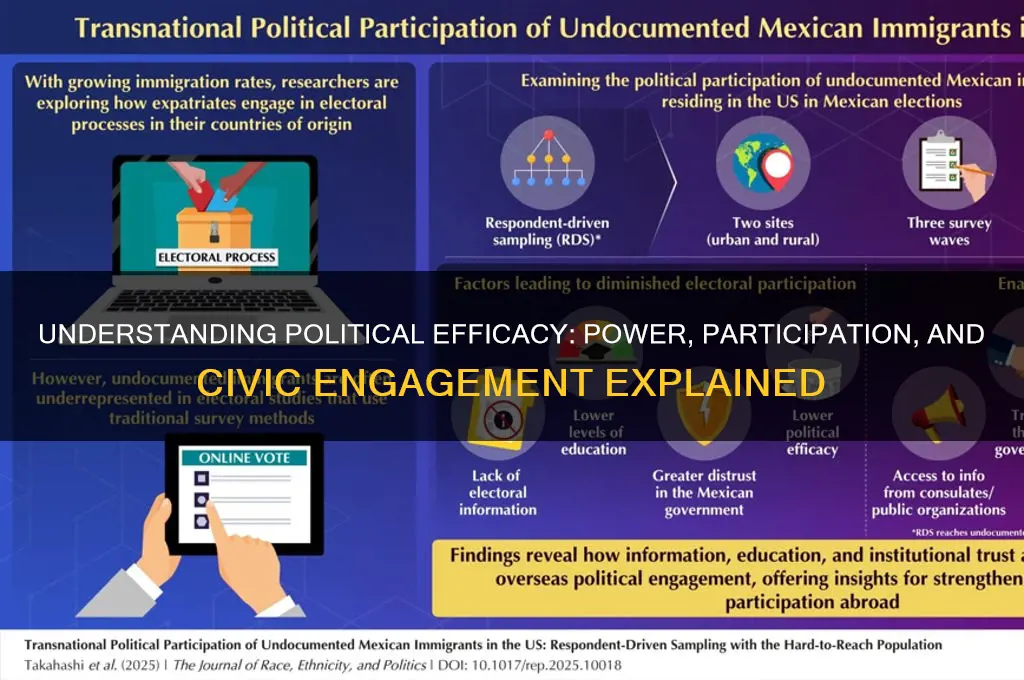 what is political efficany