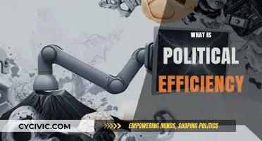 Understanding Political Efficiency: Maximizing Governance and Resource Utilization