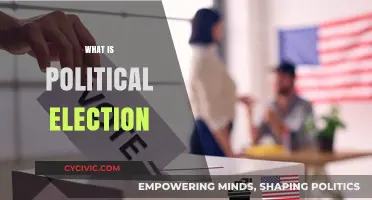 Understanding Political Elections: A Comprehensive Guide to Democratic Processes