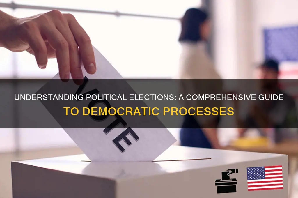 what is political election