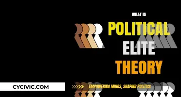 Understanding Political Elite Theory: Power, Influence, and Decision-Making Dynamics
