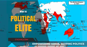 Understanding the Political Elite: Power, Influence, and Decision-Making Dynamics