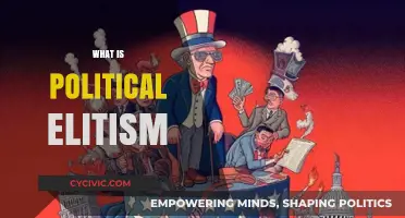 Understanding Political Elitism: Power, Influence, and the Ruling Class Dynamics