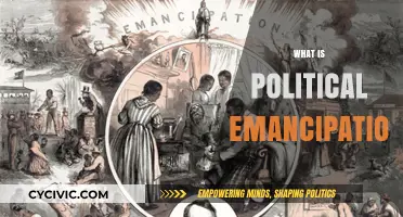 Understanding Political Emancipation: Freedom, Rights, and Societal Transformation Explained