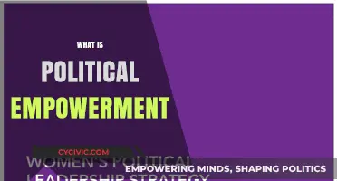 Understanding Political Empowerment: Strategies for Civic Engagement and Influence