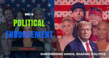 Understanding Political Endorsements: Power, Influence, and Campaign Strategies