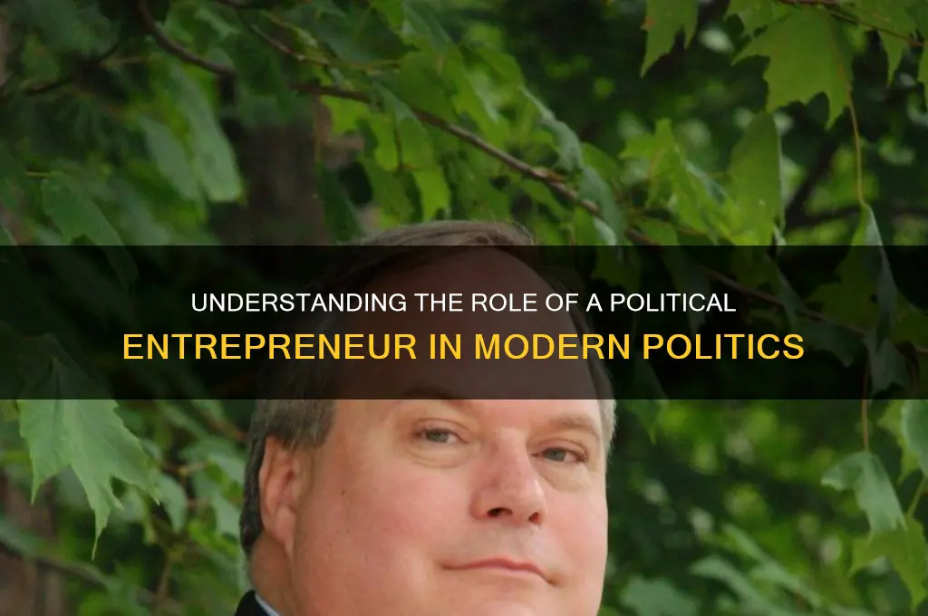 what is political entrepreneur