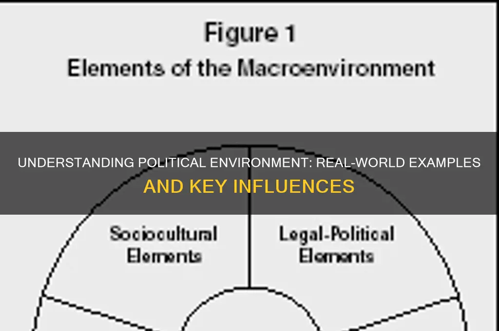 what is political environment example