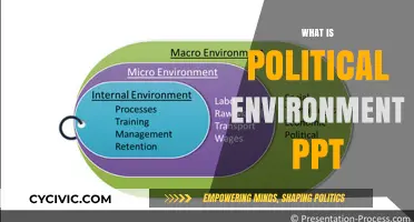 Understanding Political Environment: A Comprehensive PPT Guide for Beginners