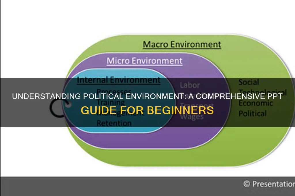 what is political environment ppt