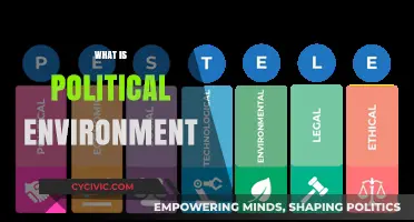 Understanding the Political Environment: Key Factors and Their Impact