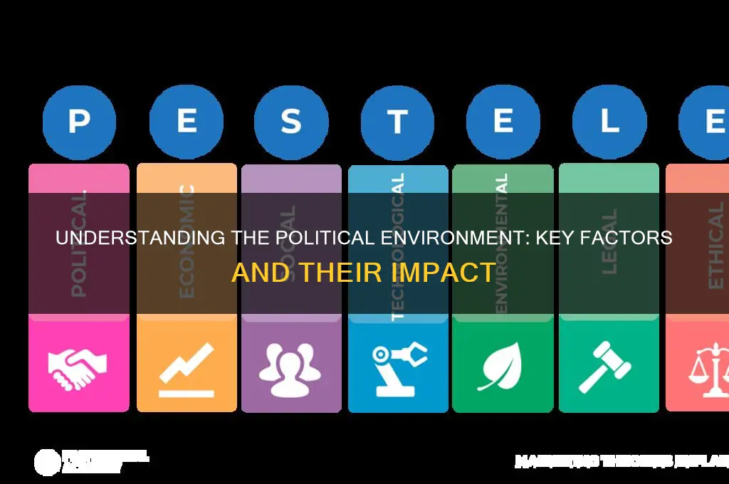 what is political environmnet