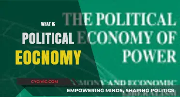 Understanding Political Economy: Power, Wealth, and Policy Interplay Explained