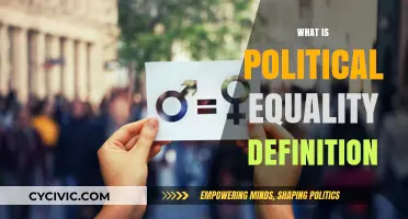 Understanding Political Equality: Definition, Importance, and Real-World Applications