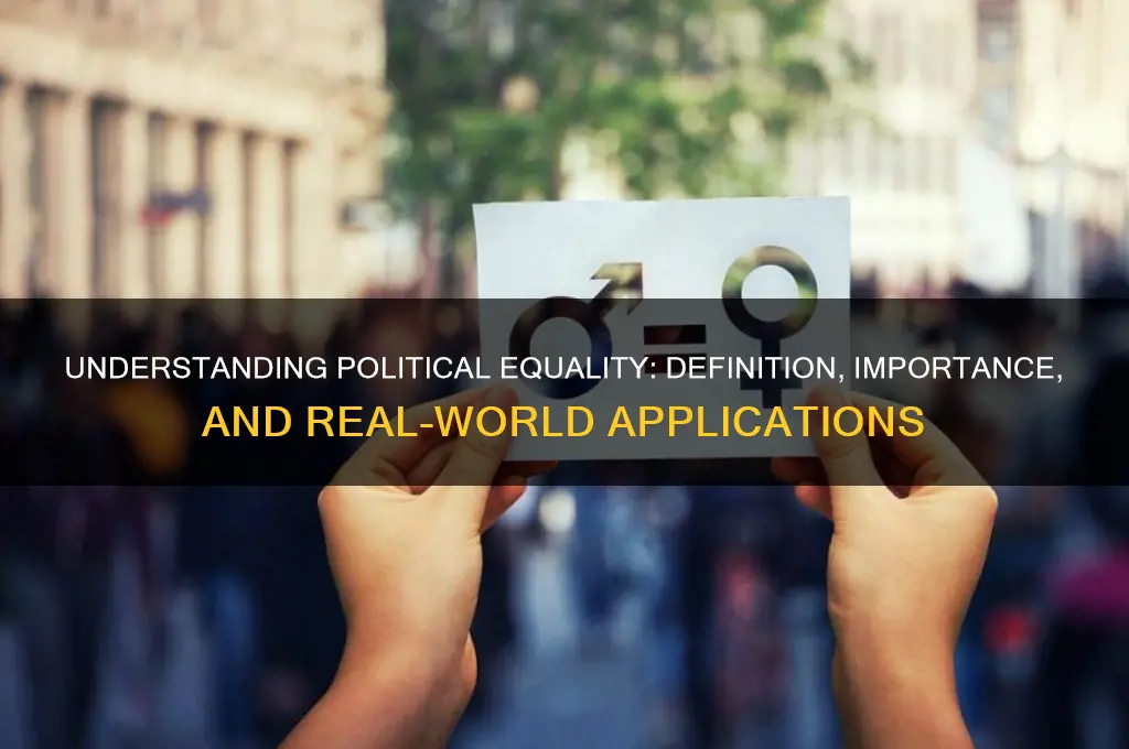 what is political equality definition
