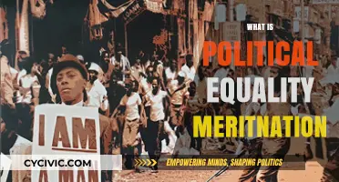 Understanding Political Equality: Meritnation's Role in Shaping Fair Governance