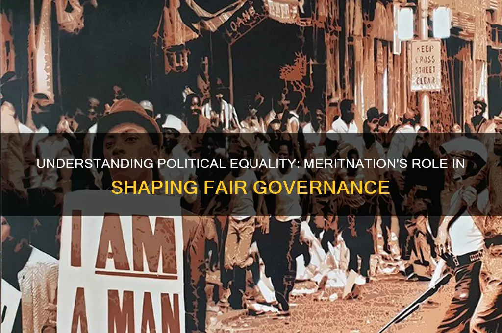 what is political equality meritnation