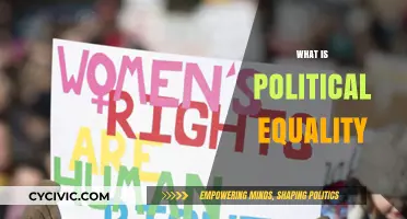 Understanding Political Equality: Rights, Representation, and Fair Participation Explained