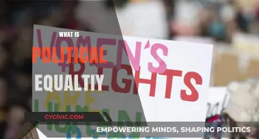 Understanding Political Equality: Rights, Representation, and Fair Participation Explained