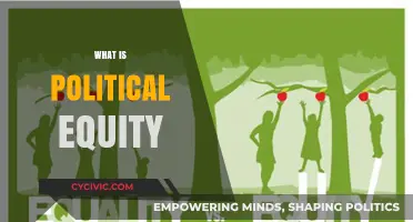 Understanding Political Equity: Fair Representation and Power Distribution Explained