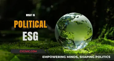 Understanding Political ESG: Impact, Influence, and Investment Strategies