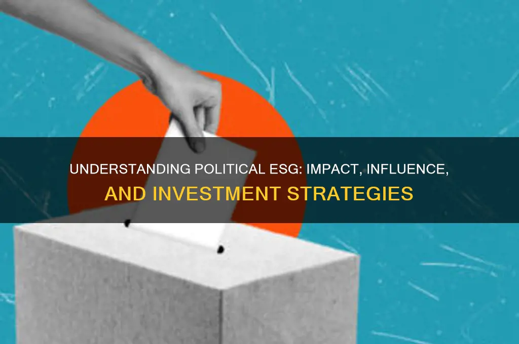 what is political esg