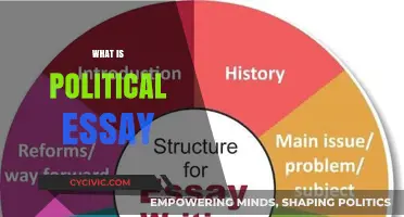 Understanding Political Essays: Purpose, Structure, and Impact Explained