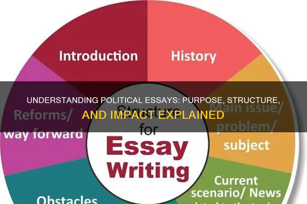 what is political essay