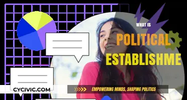 Understanding the Political Establishment: Power, Influence, and Structure Explained