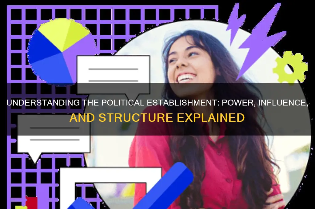 what is political establishment