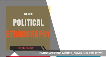 Exploring Political Ethnography: Unveiling Power Dynamics in Cultural Contexts