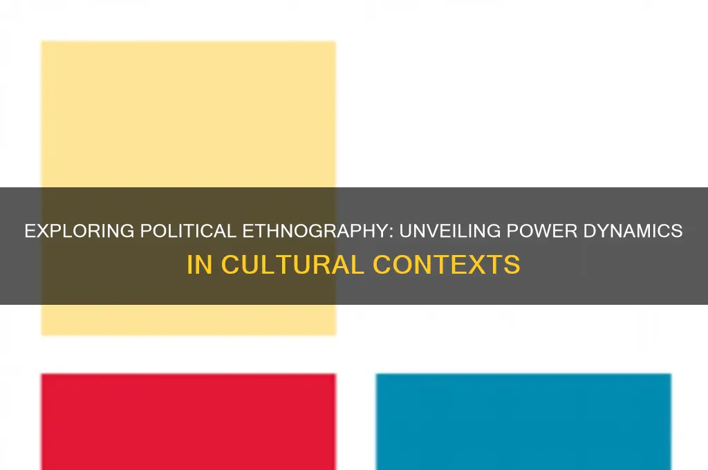 what is political ethnography