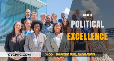 Understanding Political Excellence: Principles, Leadership, and Public Service Mastery