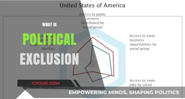 Understanding Political Exclusion: Causes, Consequences, and Pathways to Inclusion