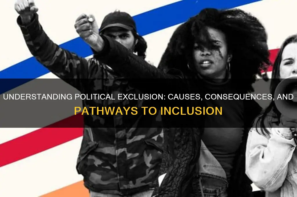 what is political exclusion