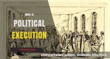Understanding Political Execution: Definition, History, and Modern Implications