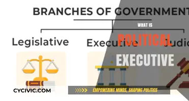 Understanding the Role and Power of the Political Executive in Governance