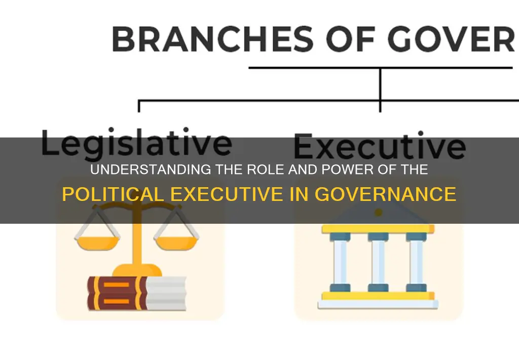 what is political executive