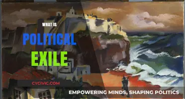 Understanding Political Exile: Causes, Consequences, and Historical Examples