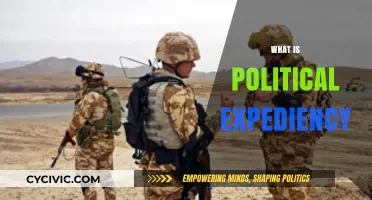 Understanding Political Expediency: Tactics, Trade-offs, and Power Dynamics