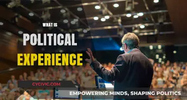 Understanding Political Experience: Skills, Roles, and Real-World Impact Explained