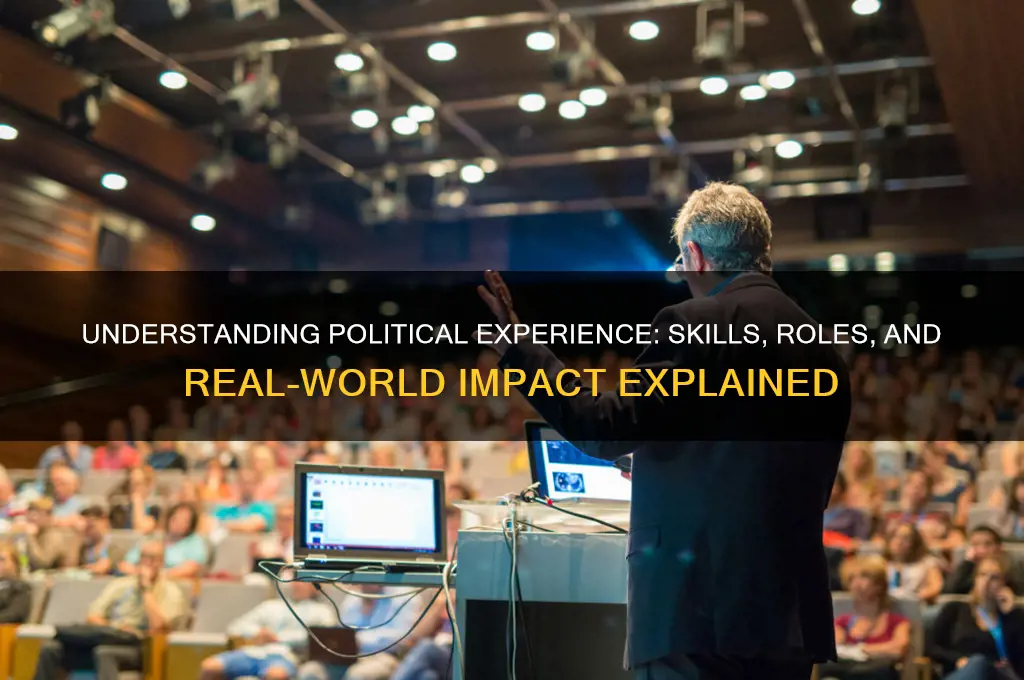 what is political experience
