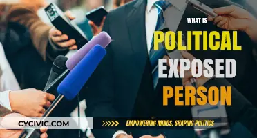 Understanding Political Exposed Persons: Risks, Regulations, and Compliance