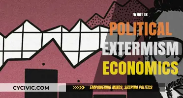 Understanding Political Extremism's Economic Roots and Global Impacts