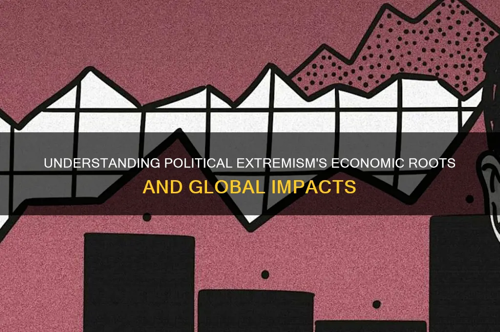 what is political extermism economics
